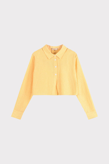 טופ קרופ פסים מכופתר YELLOW